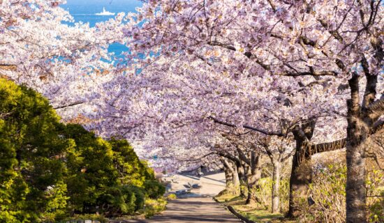 札幌近郊バスツアー